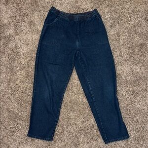 Women’s Blassport Blue Denim Elastic Waist Plus Size Jeans